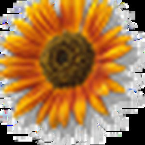 Meet your Posher, Heidi